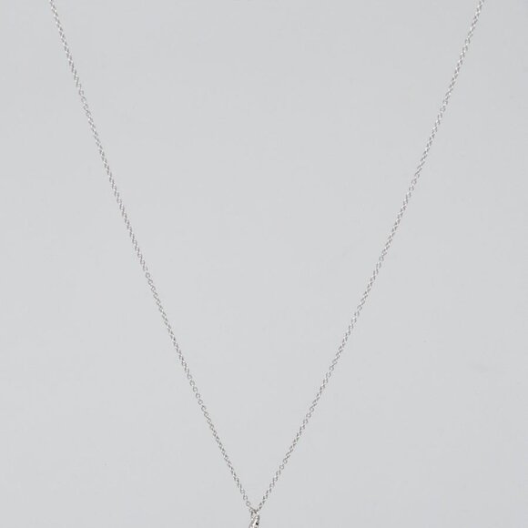 Tiffany & Co. Platinum and Diamond Elsa Peretti Teardrop Pendant Necklace - Picture 1 of 6